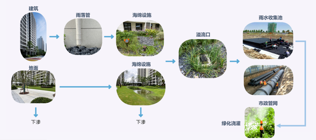 开奖结果查询